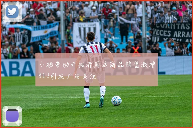 小杨带动开拓者周边商品销售激增813引发广泛关注