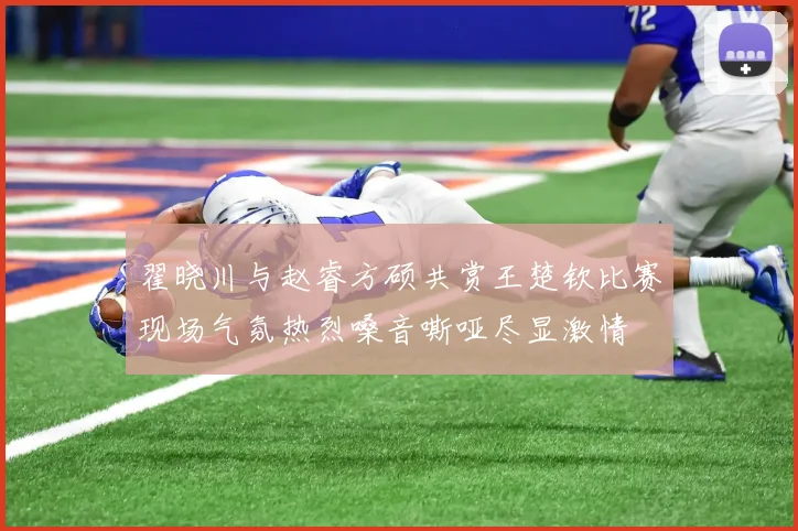 翟晓川与赵睿方硕共赏王楚钦比赛现场气氛热烈嗓音嘶哑尽显激情
