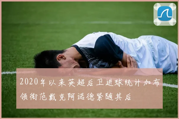 2020年以来英超后卫进球统计加布领衔范戴克阿诺德紧随其后